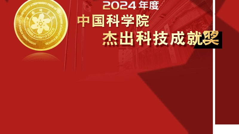 企业数字化人才团队搭建：关键步骤与策略**