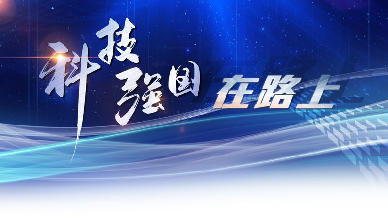 上海互联网技术安全规范标准：护航网络安全，构建可信生态